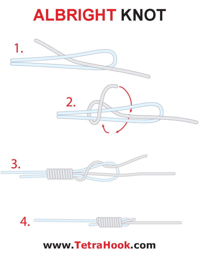 Albright Knot