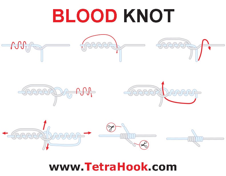 Blood Knot