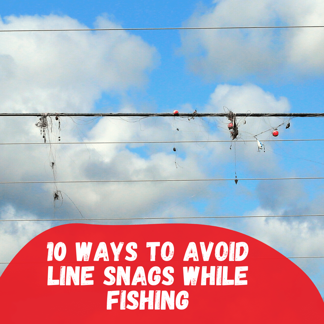 10 Ways To Avoid Line Snags While Fishing Tetra Hook