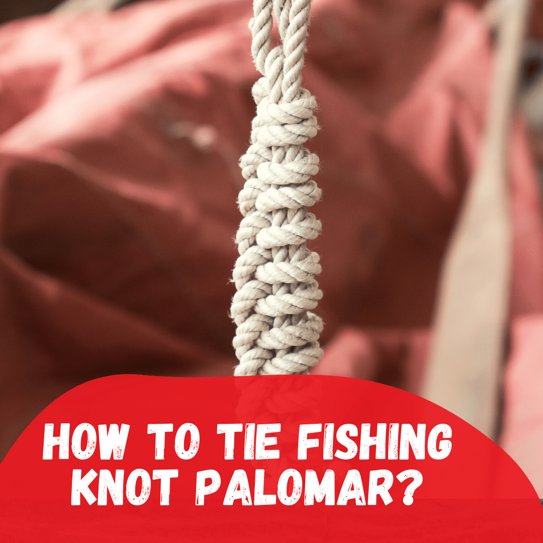 How to Tie Fishing Knot Palomar? - Strong Knot – Tetra Hook