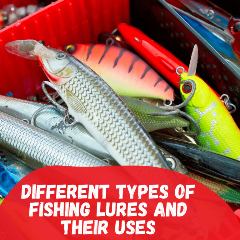 Different types of fishing lures and their uses