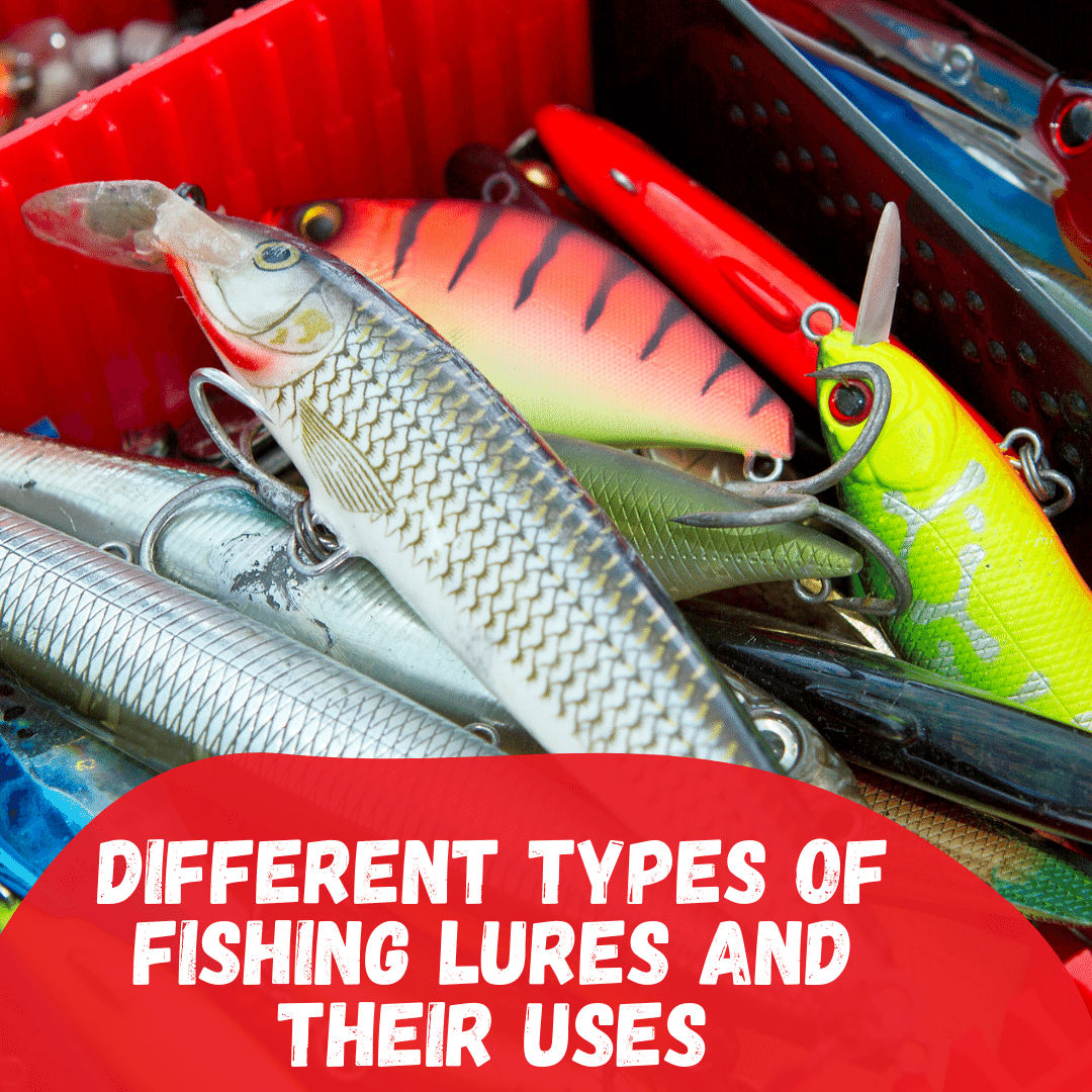 Different types of fishing lures and their uses – Tetra Hook