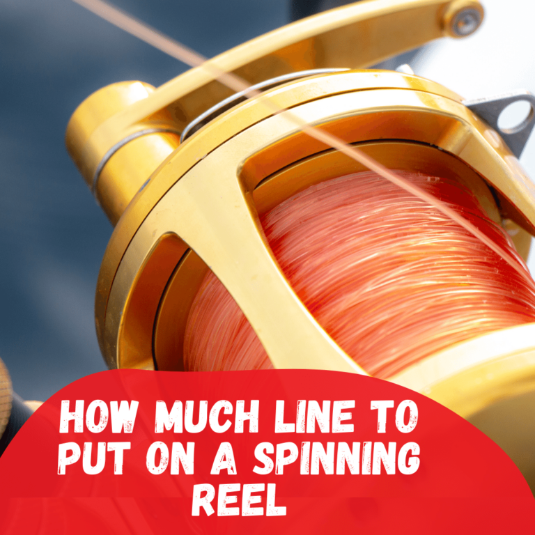 How much line to put on a spinning reel