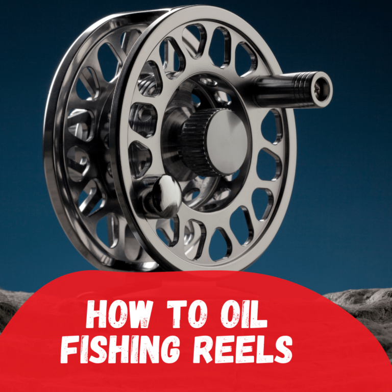How to oil fishing reels – keep it clean