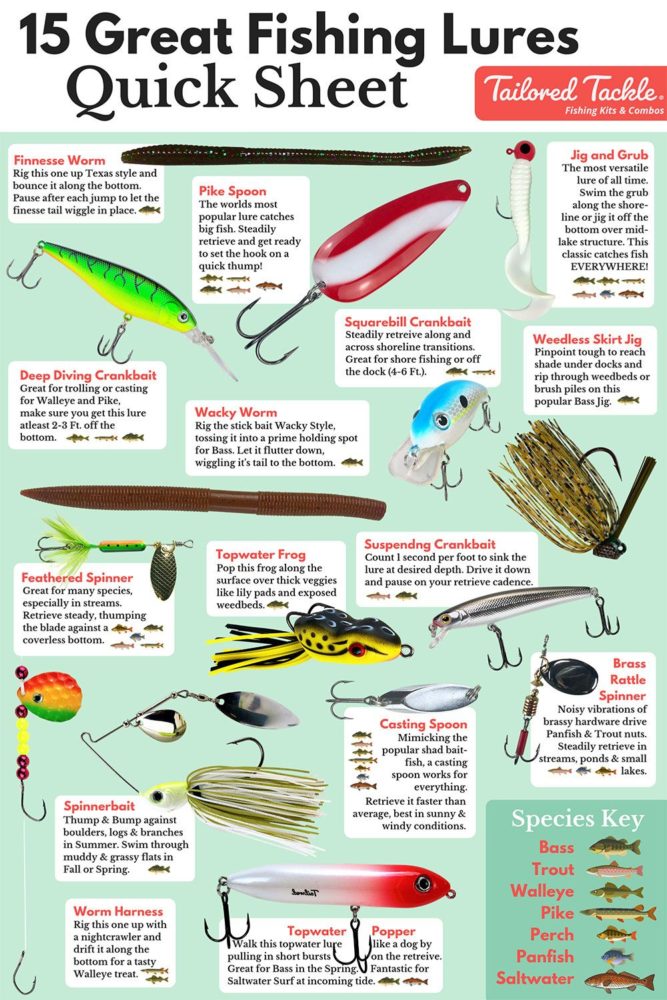 Quick look at different types of fishing lure