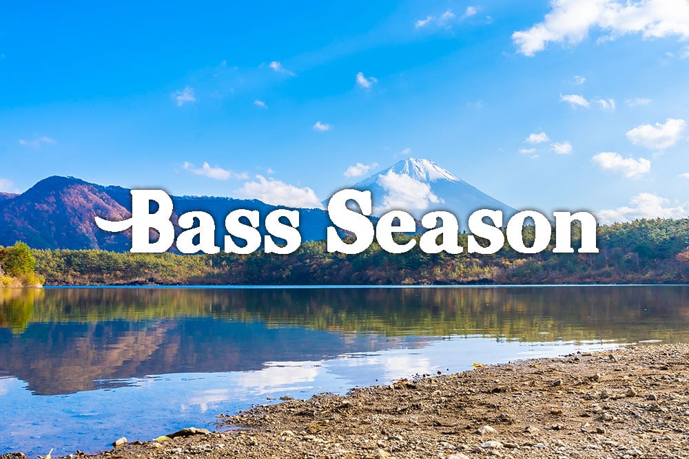 How To Catch Bass in Winter