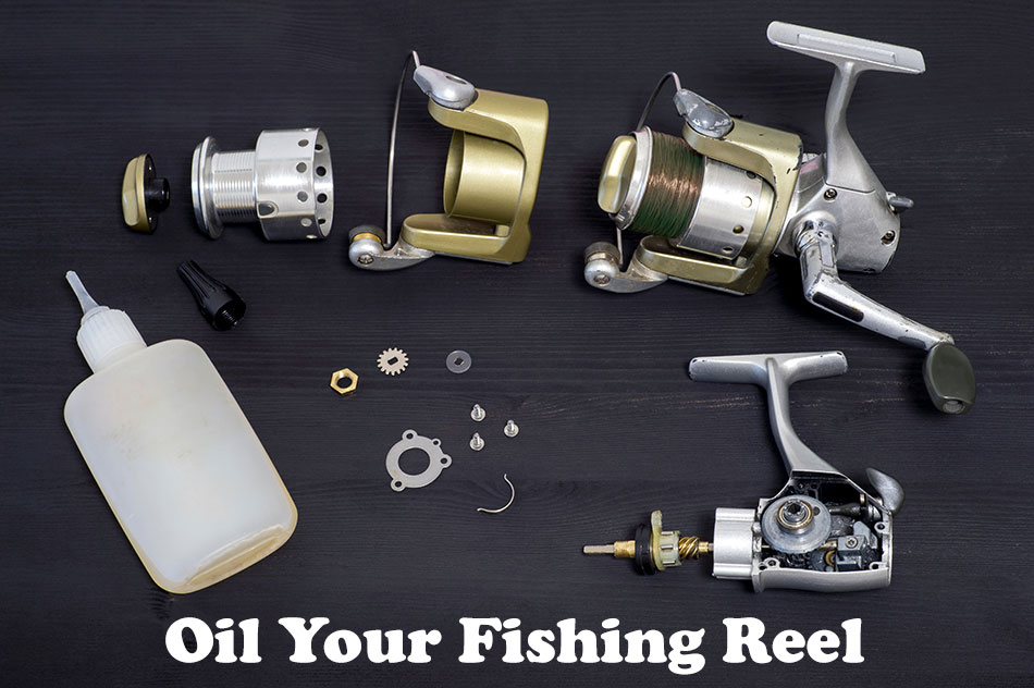 How to oil your fishing reel