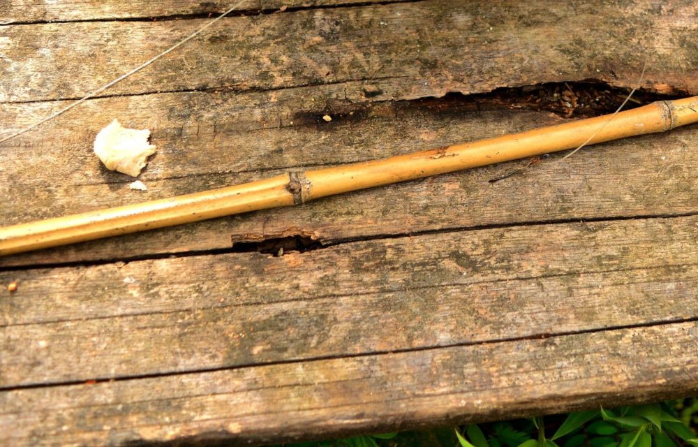 Primitive Fishing Branch
