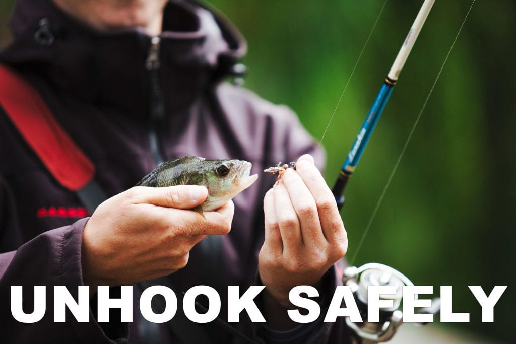 Unhook Safely from Fish
