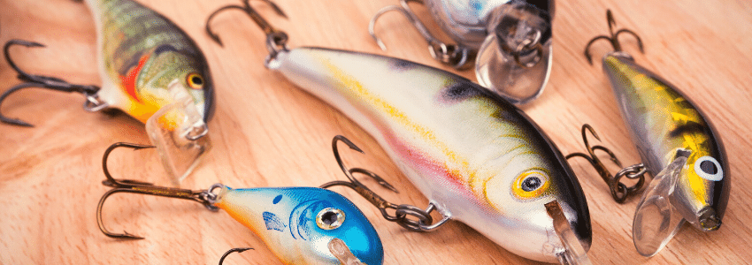 Best Fishing Lures