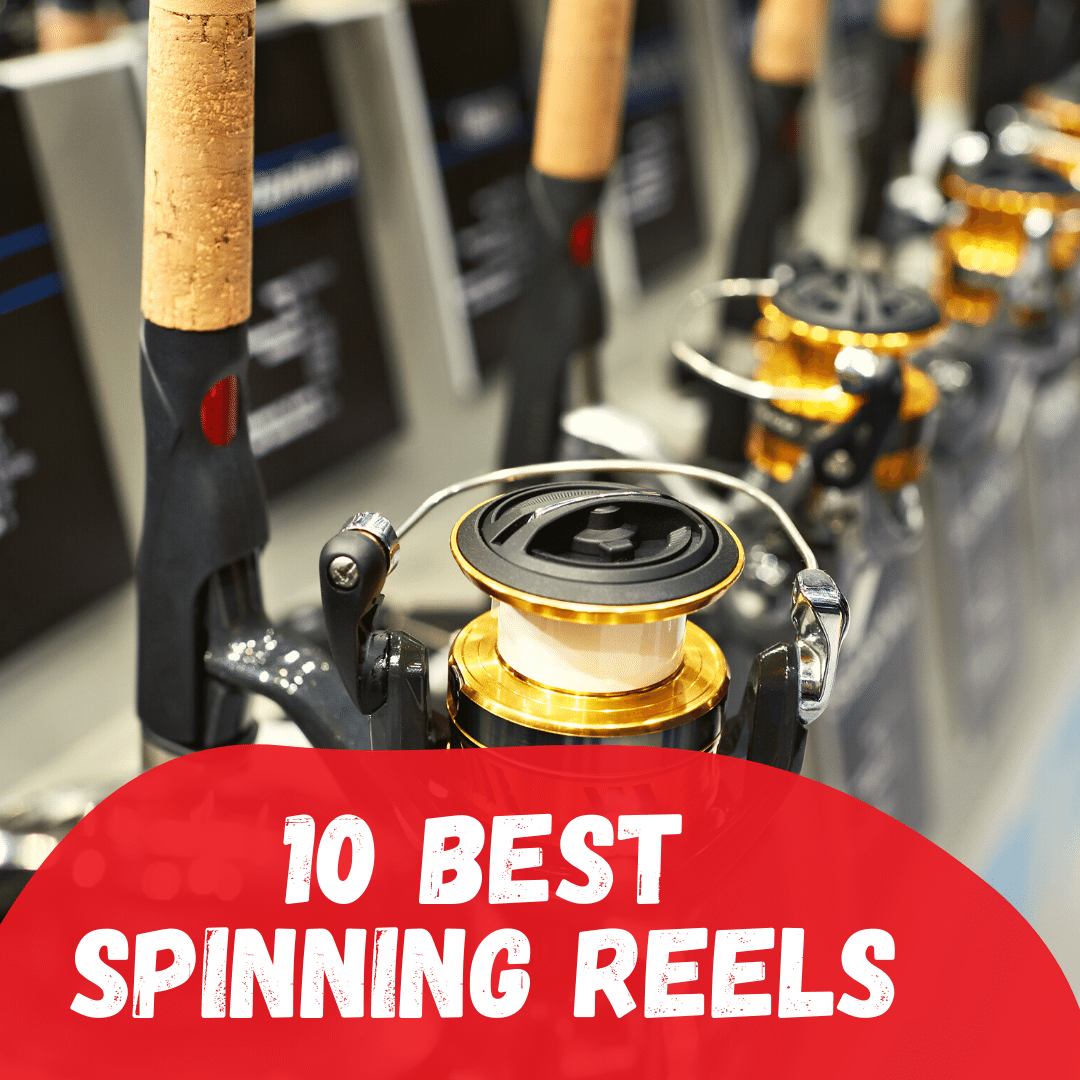 9 Best Spinning Reels on 2023 [Reviewed] – Tetra Hook
