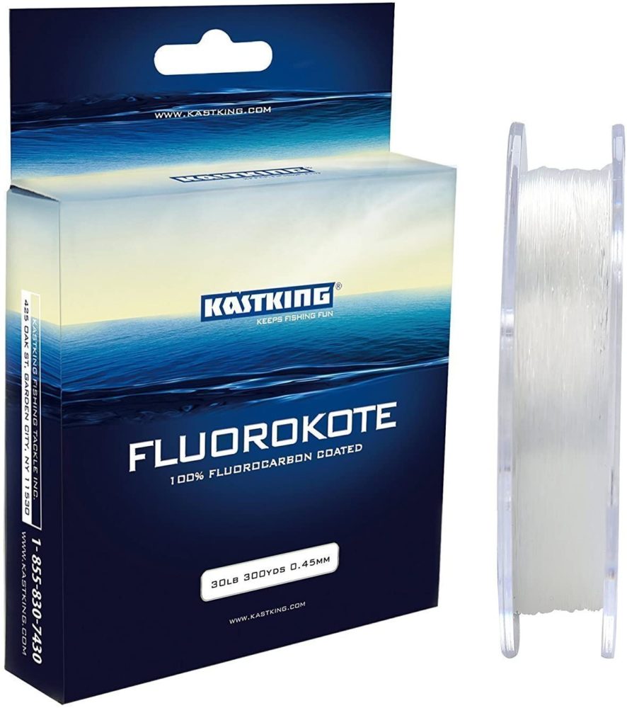 7 Best Fluorocarbon Line in 2022 [Reviewed] Tetra Hook