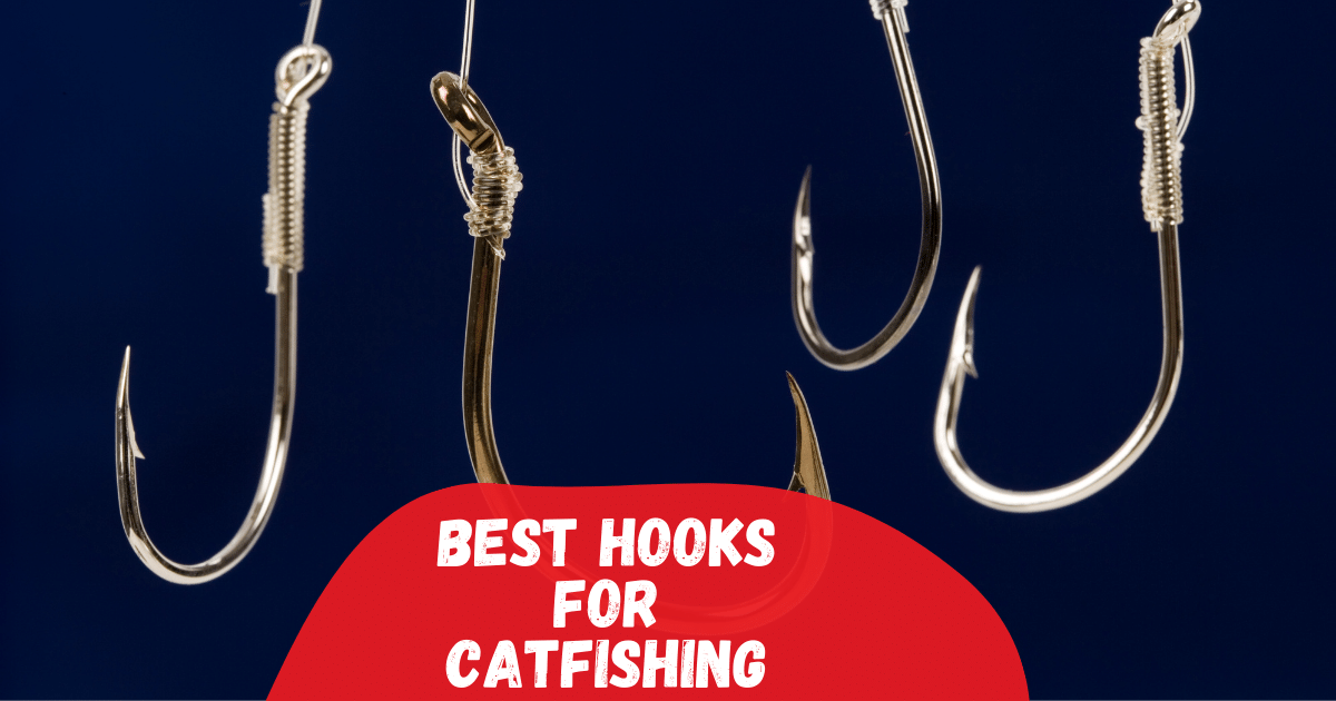 7 Best Hooks for Catfishing in 2023 [Reviewed] – Tetra Hook