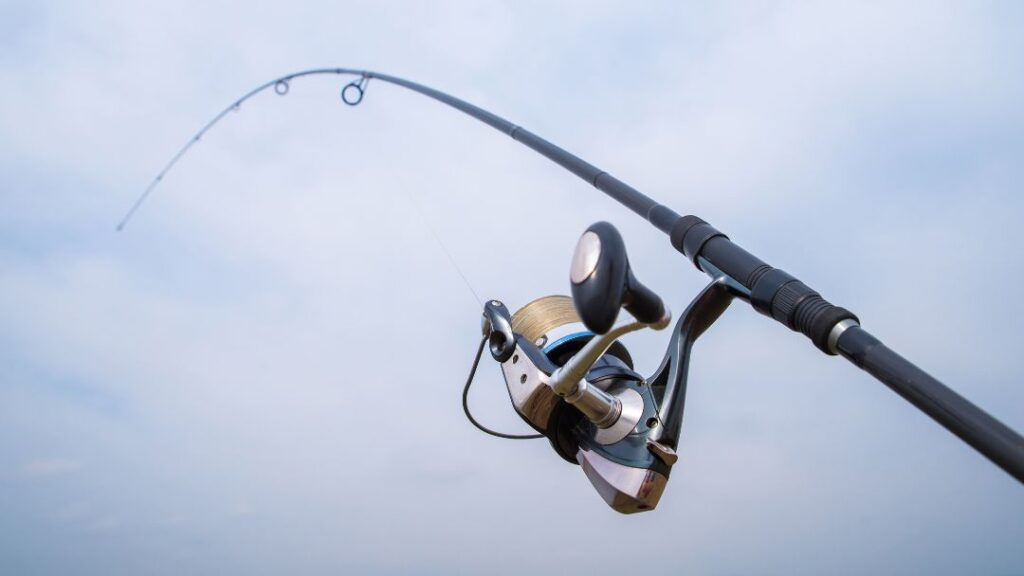 Choose the Best Fishing Rod and Reel Combo for Saltwater