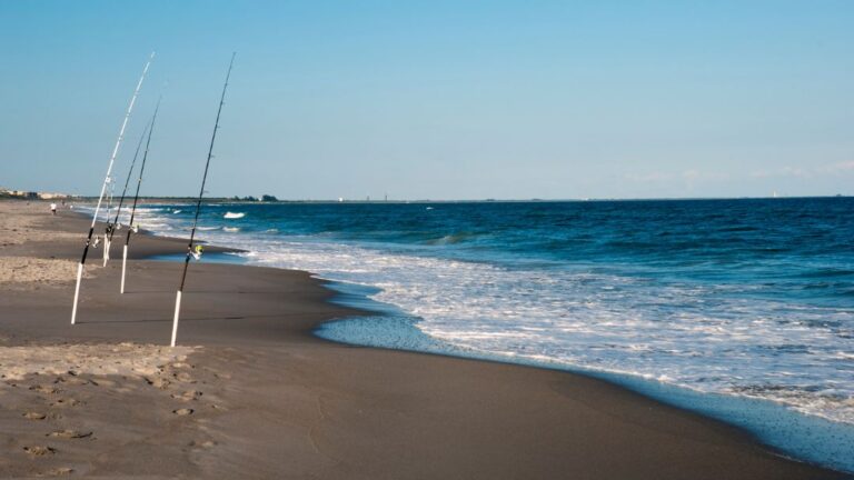 Can You Use A Catfish Rod For Surf Fishing