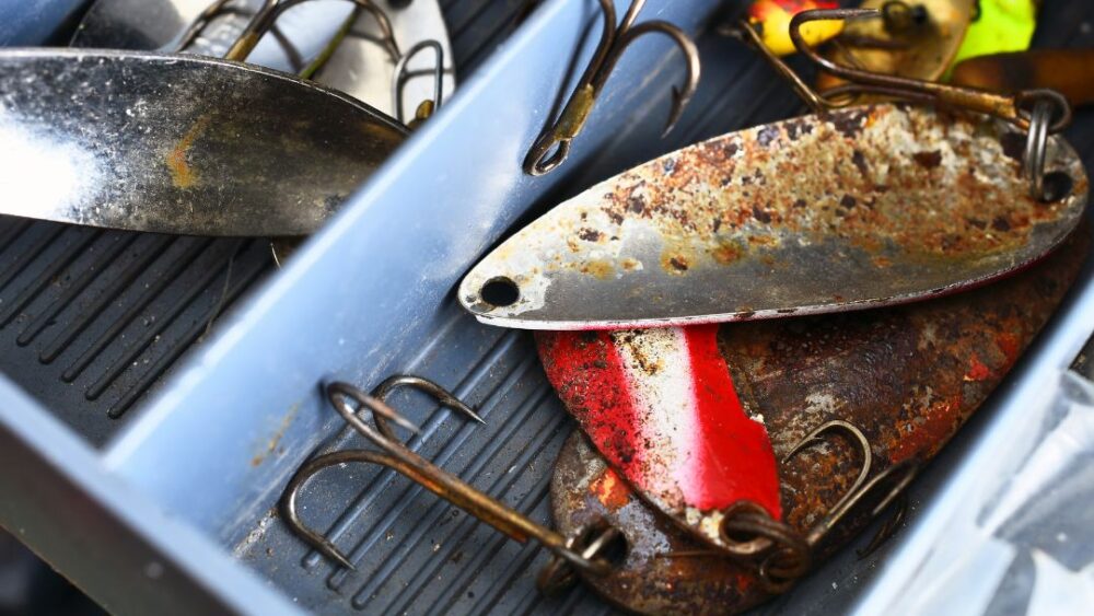 Why Fishing Hooks Rust Out And How To Tackle It Tetra Hook