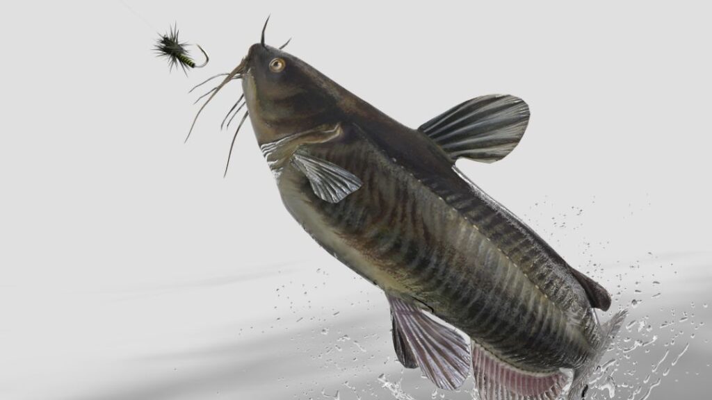 What Size Hook Is Good For Catfish