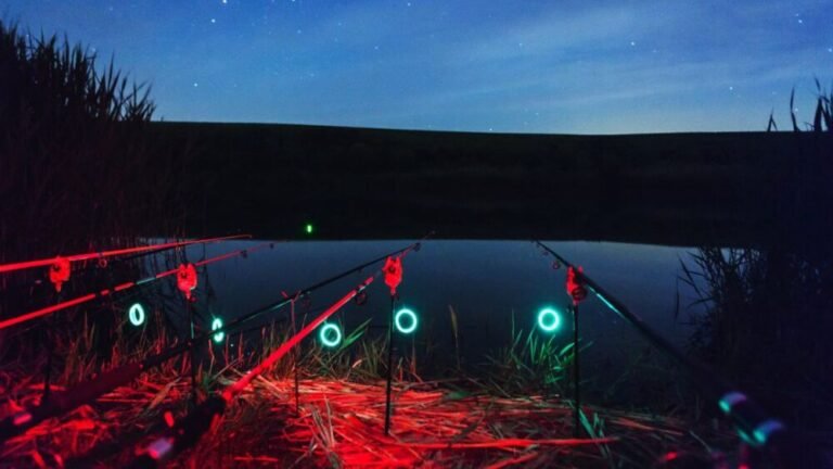 Brown Trout Fishing at Night
