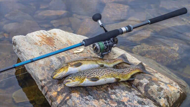 Spin Fishing For Trout: Learn From Experts
