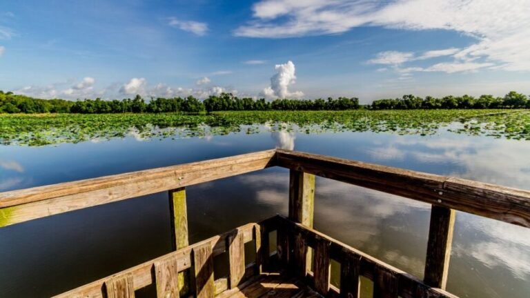 Guide to Fishing in Texas