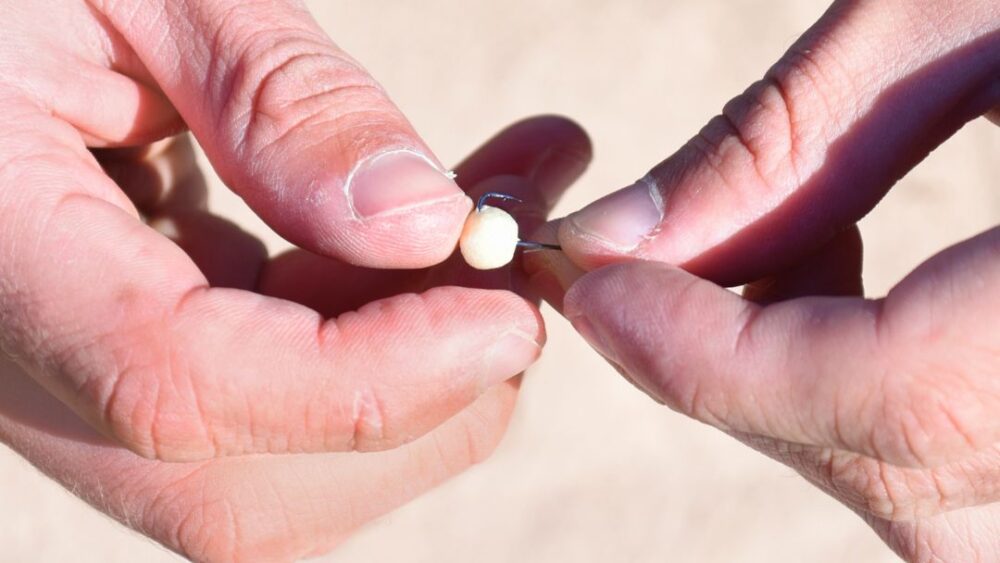 Trout Fishing With Corn Proven Methods Tetra Hook