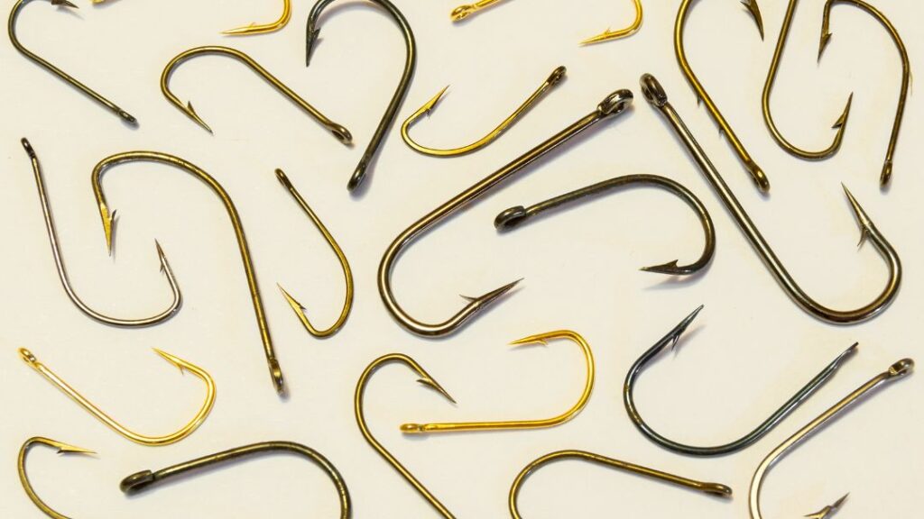 Fishing Hook Sizes That Guarantee Success – Tetra Hook