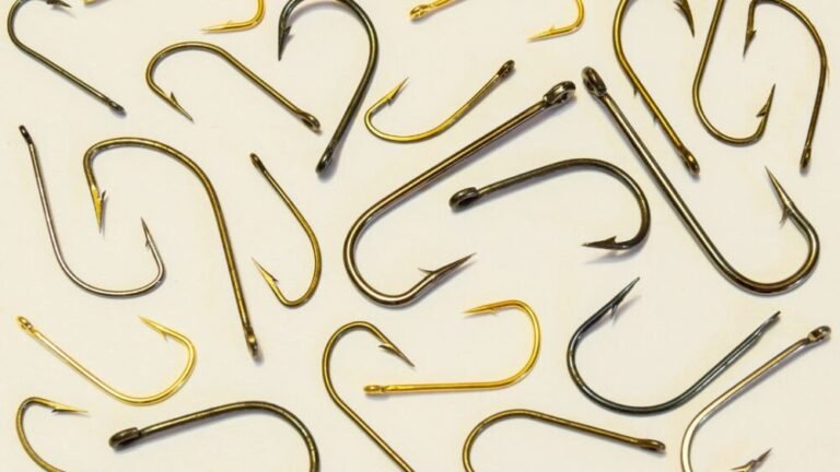 Fishing Hook Sizes That Guarantee Success