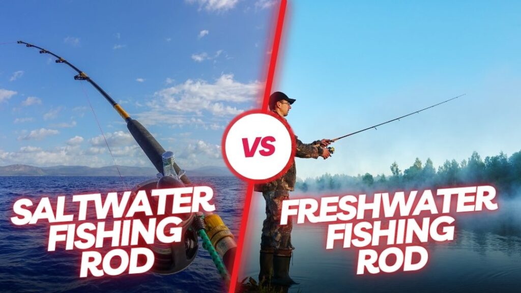 Saltwater Vs Freshwater Fishing Rods