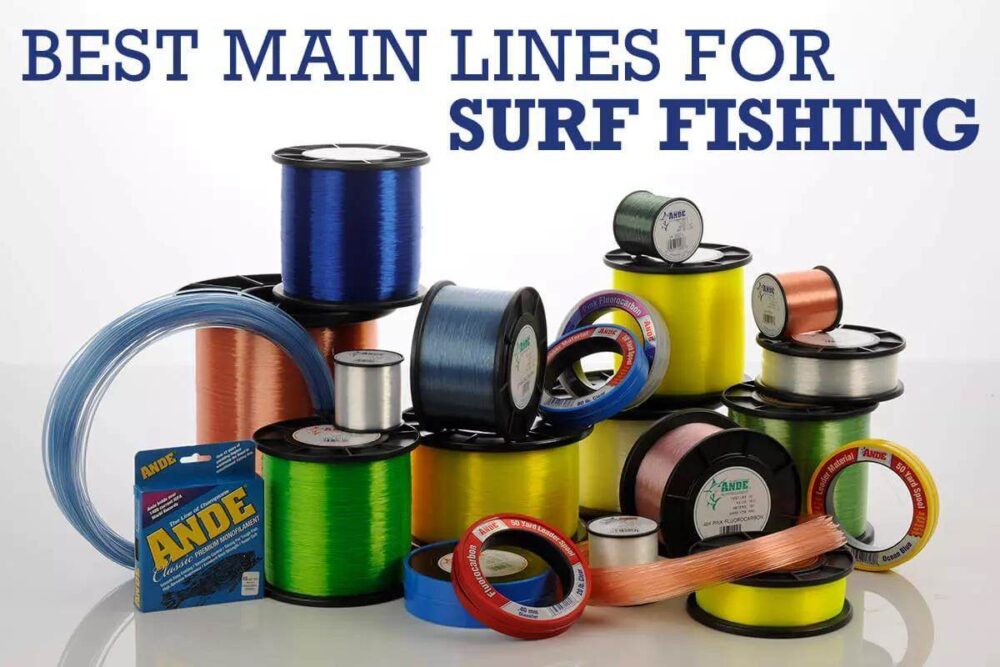 Best Saltwater Fishing Line Types – Tetra Hook