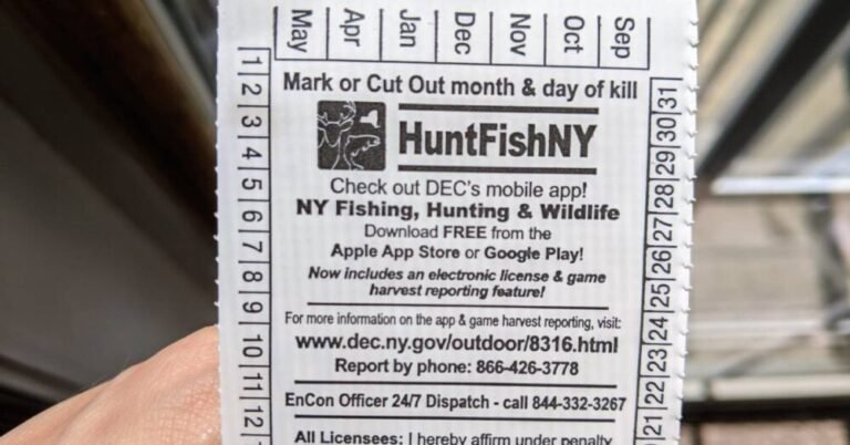 How to Get Your New York Fishing License