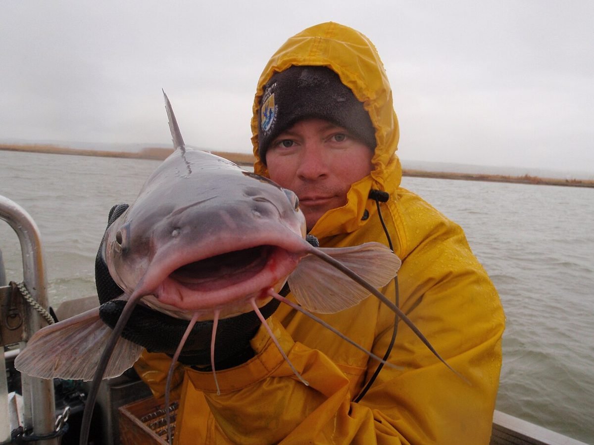 Angler in rain gear holding a channel catfish on a boat