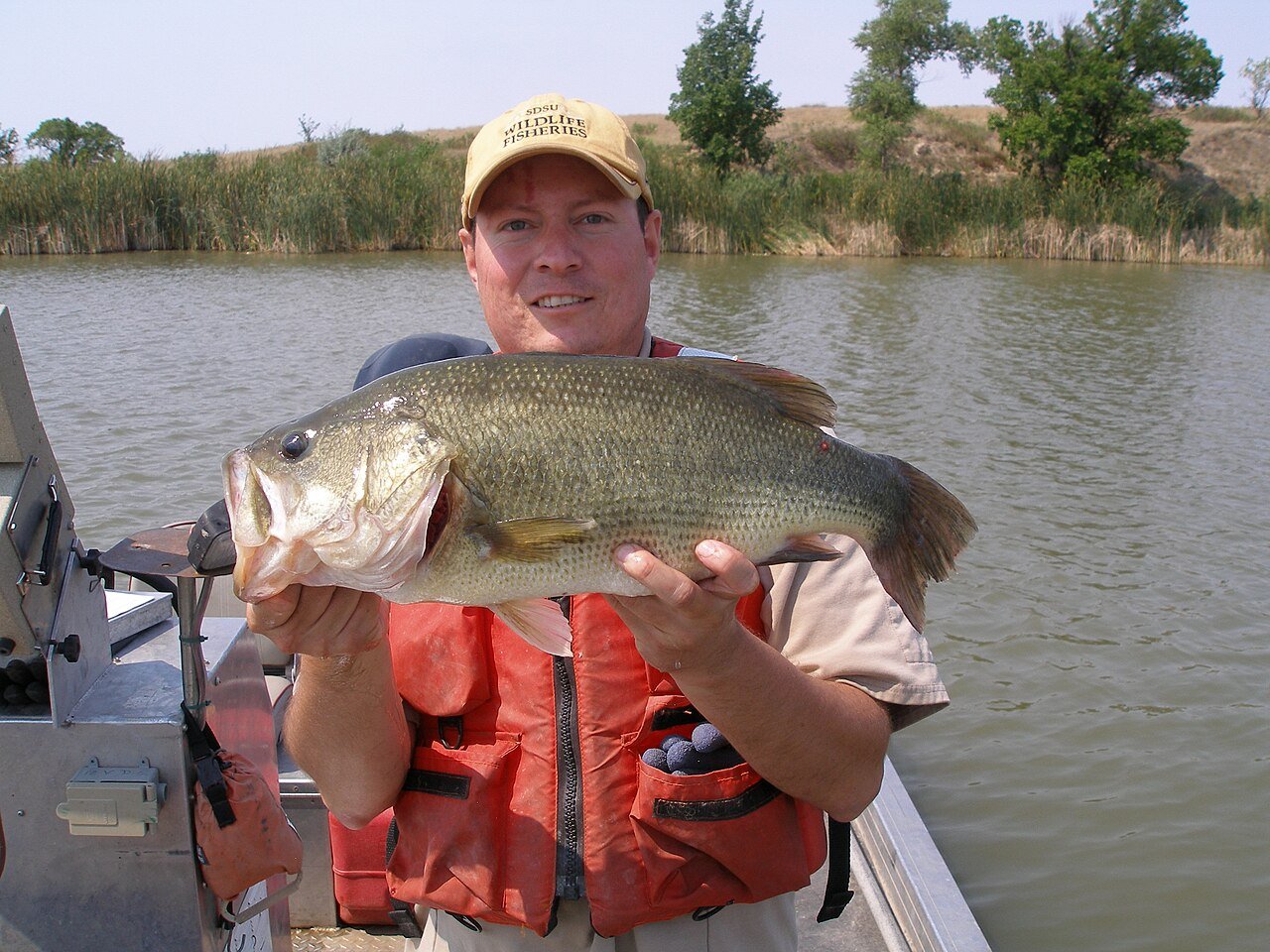 Angler in a life jacket holding a largemouth bass on a boat