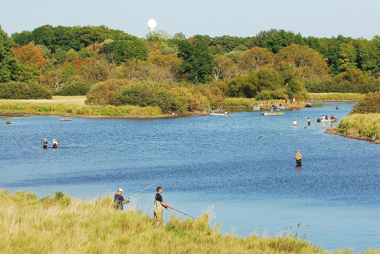 Anglers salmon fishing from the bank and wading in a river
