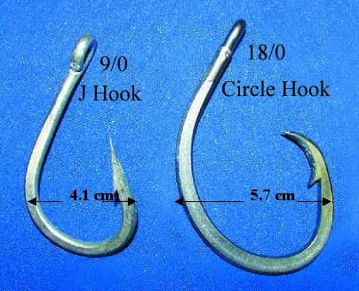 A J hook next to a circle hook, showing the circle hook point turned back toward the shank