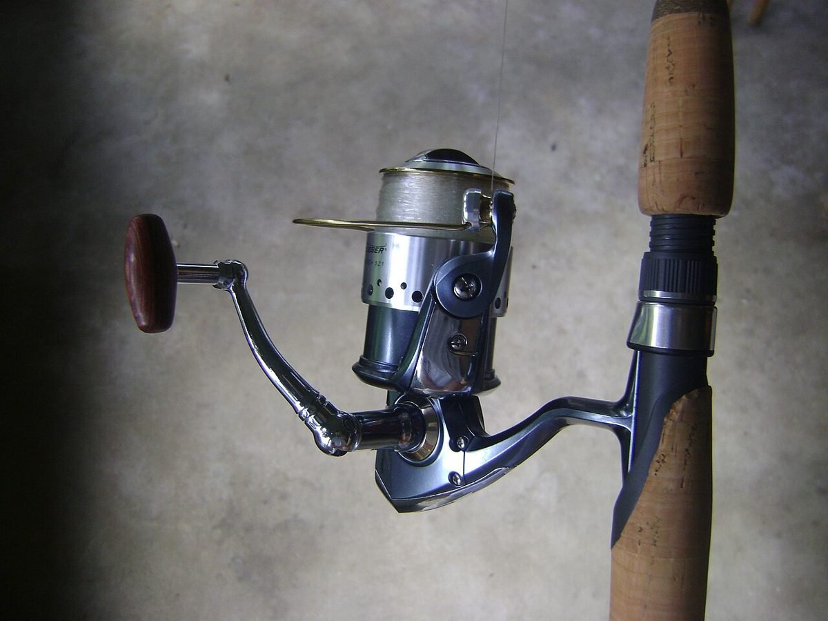 Close-up of a spinning reel on a cork-handled rod showing the bail, spool and handle