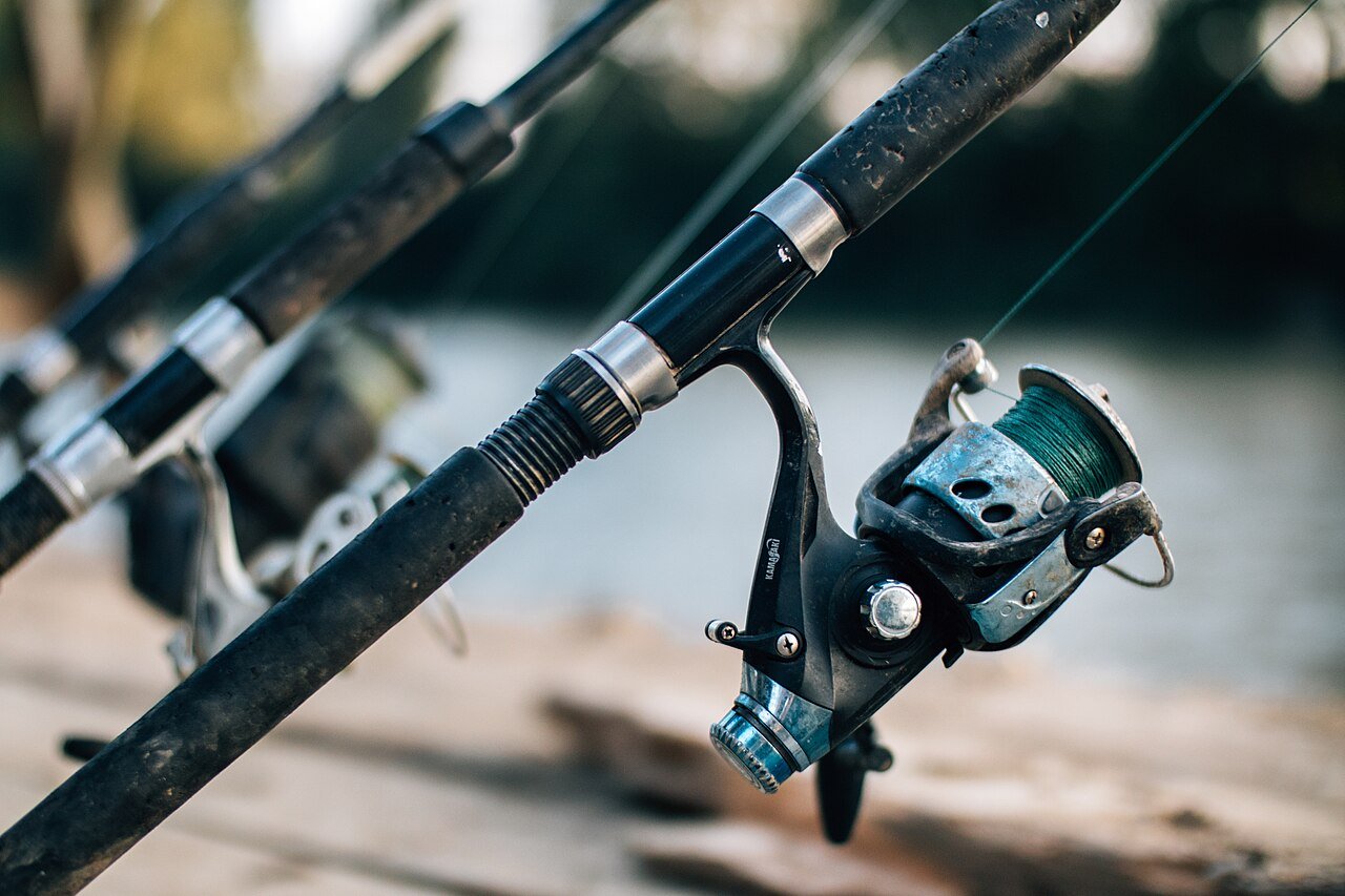 Spinning rods and reels lined up side by side