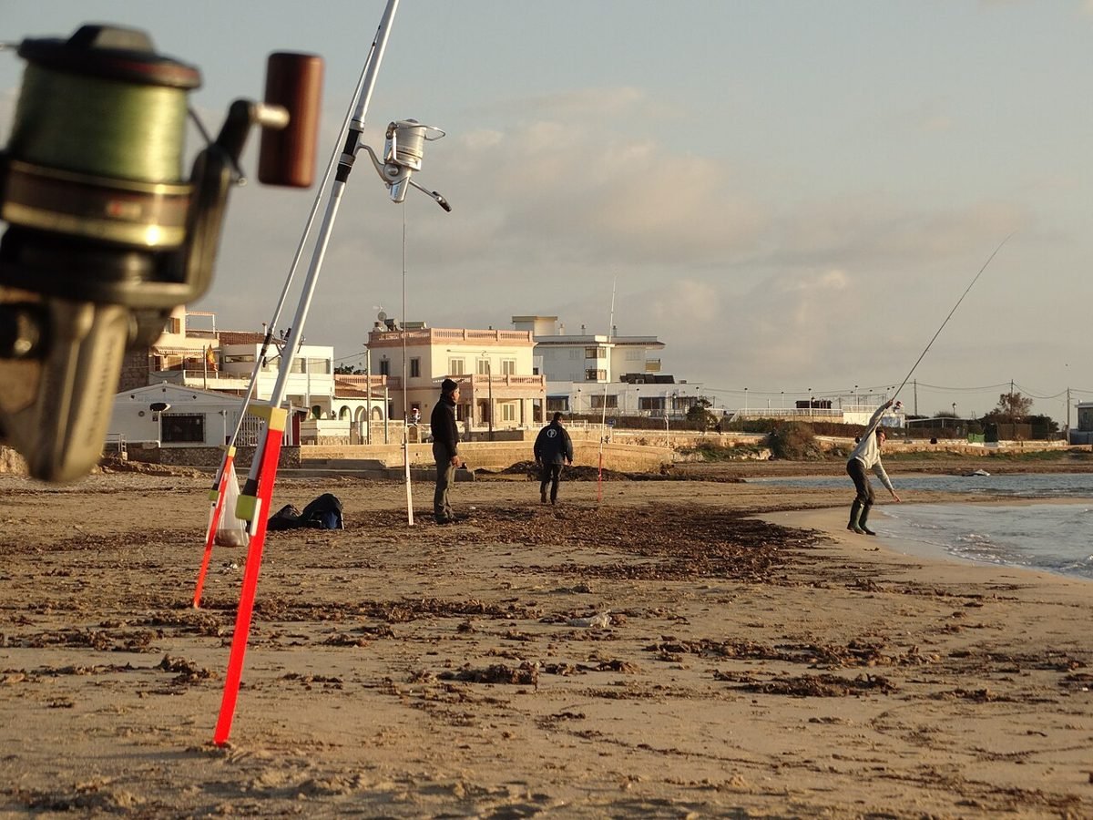 Surf fishing rods set up on a beach